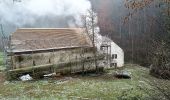 Tour Zu Fuß Waldbillig - W5 Hiking Tour - Photo 1