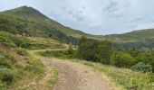 Trail Walking Lavigerie - Col de serre - enlacement - Photo 4