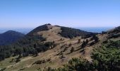 Trail Walking Herran - 2020-08-20 Arbas -  cabane de roqué pic -  de paloumère - sommet de cornudère. - Photo 4