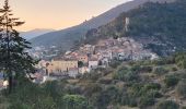 Trail Walking Roquebrun - Roquebrun - Laurenque - Ermitage St Etienne - Photo 2