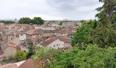 Tour Wandern Avignon - baguenaudage en Avignon - Photo 16