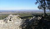 Excursión Senderismo Uchaux - le farjons - Photo 1