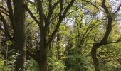 Percorso A piedi Göhrde - Naturlehrpfad Naturum Göhrde - Photo 6