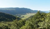 Excursión Senderismo Léoncel - Pierre Chauve - Col de Tourniol - Photo 8