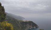 Tocht Stappen Vernazza - Corniglia-Monterosso-10kmD570m - Photo 5