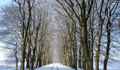 Trail On foot Ede - Oud Reemst - Blauw - Photo 9