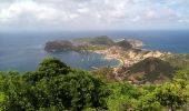 Trail Walking Terre-de-Haut - Les Saintes - J2 - Photo 12