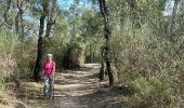 Trail Walking Capmany -  Capmany 4 - Photo 3