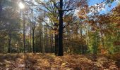 Randonnée Marche Genappe - Bois de Ways Ruart, à l’envers - Photo 5