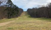 Trail Walking Compiègne - Compiegne rond point de l’Armistice 13,4 km - Photo 7