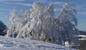 Randonnée Raquettes à neige Léoncel - Le Grand Echaillon - Les Crêtes de la Sausse - Photo 9