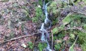 Trail Walking Rochesson - cascade de Battion  - Photo 13