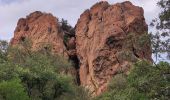 Tour Wandern Roquebrune-sur-Argens - Blavet selon François  - Photo 6