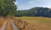 Tocht Stappen Doische - La Boucle de l'Hermeton - Photo 15