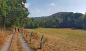 Tocht Stappen Doische - La Boucle de l'Hermeton - Photo 15