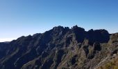 Tour Wandern Ilha - Madère : vers le Pico Ruevo sommet de l'île - Photo 11