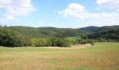 Tour Zu Fuß Bad Endbach - Wanderweg E4 / Seibertshäuser Grund - Photo 2