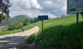 Trail Road bike Saint-Jorioz - REALISE P1 Col de l'Epine-La Tournette - Photo 2