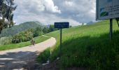 Percorso Bici da strada Saint-Jorioz - REALISE P1 Col de l'Epine-La Tournette - Photo 2