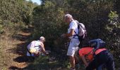 Tour Wandern Aspères - aspere - Photo 14