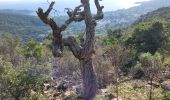 Trail Walking Le Lavandou - vlt1016 - La Faveirolle, par l'ancien golf de Cavalière - Photo 2