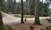 Randonnée Marche Cleurie - cleurie-la charmes-roches du thin-col du singe - Photo 4