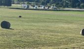 Tocht Stappen Vassieux-en-Vercors - Casier en vercor - Photo 2