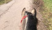 Trail Horseback riding Sainte-Barbe - Affaya boucle innutile 1 - Photo 1