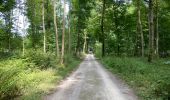 Trail Walking Hoeilaart - Grœnendael ouest + arboretum 9,8 km - Photo 8