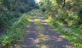 Trail Walking Libramont-Chevigny - Ballade Wideumont - Photo 4