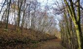 Percorso A piedi Bodenwerder - Über die Himckeburg ins romantische Rühler Tal - Photo 1