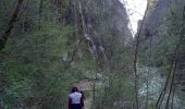 Tour Wandern Sainte-Eulalie-en-Royans - Cascade blanche et Cascade verte - Photo 4