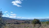 Tour Wandern Argelès-sur-Mer - argeles - collioure / retour par la mer  - Photo 18