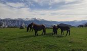 Tour Wandern Larnat - Cap de la Lesse - Photo 10