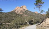 Tocht Mountainbike Fréjus - 53 km Esterel - Photo 3