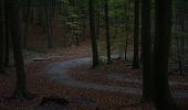 Trail On foot Binz - Gelber Strich - Photo 1