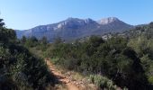 Trail Walking La Valette-du-Var - La Ripelle-24-03-21 - Photo 6