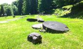 Tour Zu Fuß Unknown - Costești - Sarmizegetusa Regia - Vf. Godeanu - Photo 10