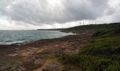 Tocht Stappen Saint-François - Anse à la Baie - Morne Caraïbe - Photo 8