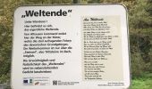 Tocht Te voet Stein-Wingert - Naturpfad Weltende - Photo 8