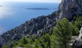 Tour Wandern Marseille - Voire-col de Cortiou-Calanque Escu- Vallon des Walkyries  - Photo 3