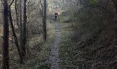 Trail Walking Saillans - chataignier - Photo 10