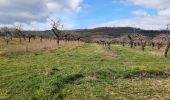 Percorso Marcia Brindas - petit tour sur haut de la joanna - Photo 6