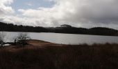 Tour Wandern Peyrelevade - Fred lac du chamet - Photo 2