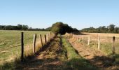 Tocht Stappen Frocourt - Sentier de Frocourt - Photo 1