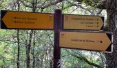 Trail Walking Aiguines - La Maline-Imbut-Vidal - Photo 16
