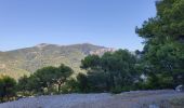 Trail Walking Toulon - Tour de l'Hubac Faron - Toulon - Photo 2