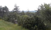 Trail Walking Blandas - Bois de calot rouge - Photo 5