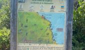 Trail Trail Anse-Bertrand - La mahaudiere - Photo 8