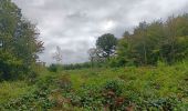 Trail Walking Esneux - mon E d'Esneux - Photo 19